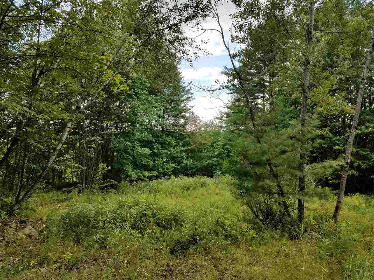 79 Mountain View Road Lempster, NH 03605 - Photo 3 of 17