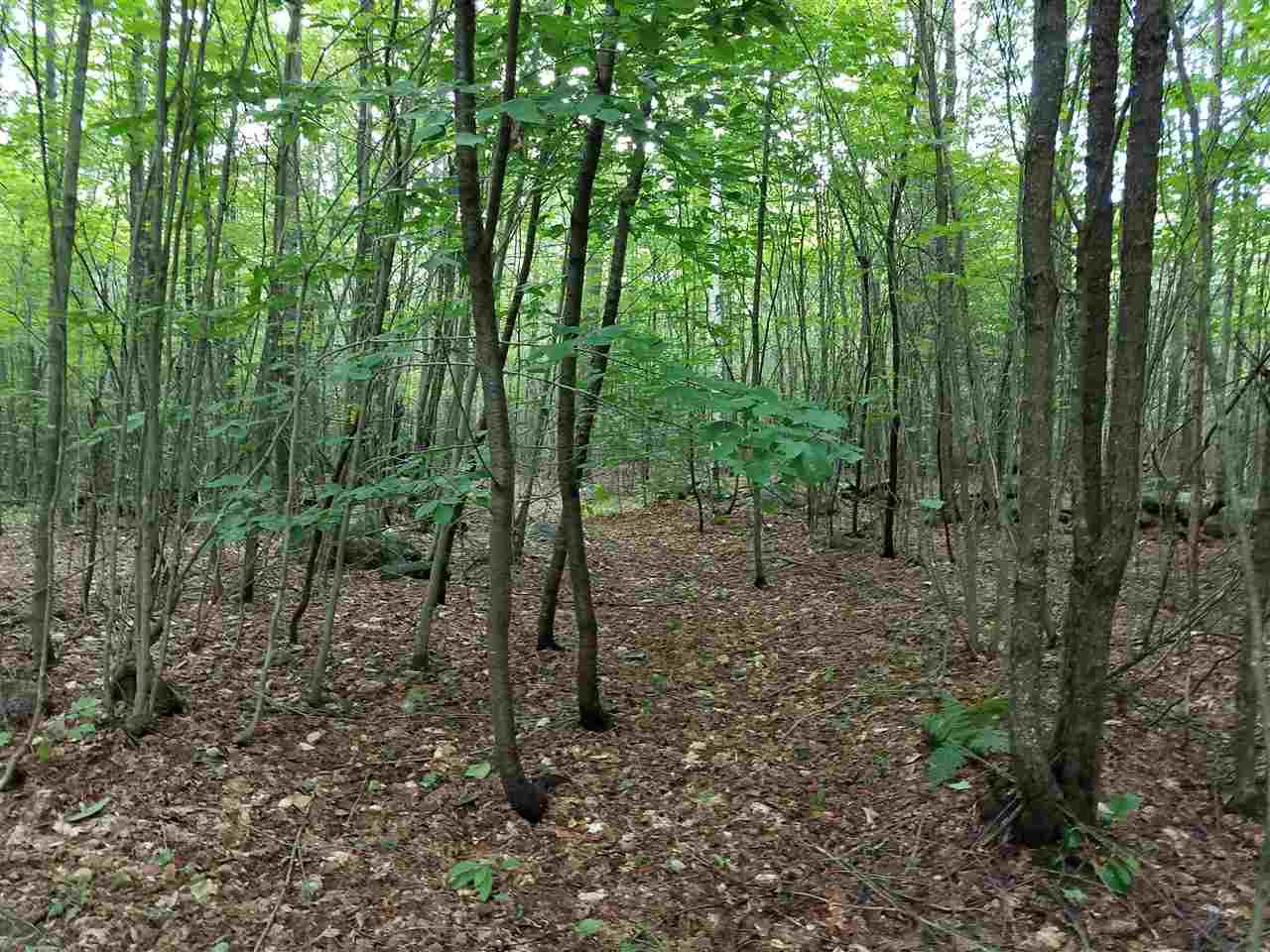 79 Mountain View Road Lempster, NH 03605 - Photo 5 of 17