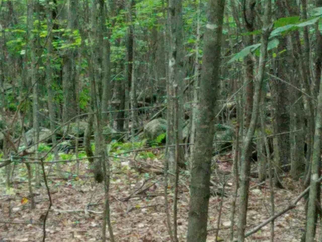 79 Mountain View Road Lempster, NH 03605 - Photo 6 of 17