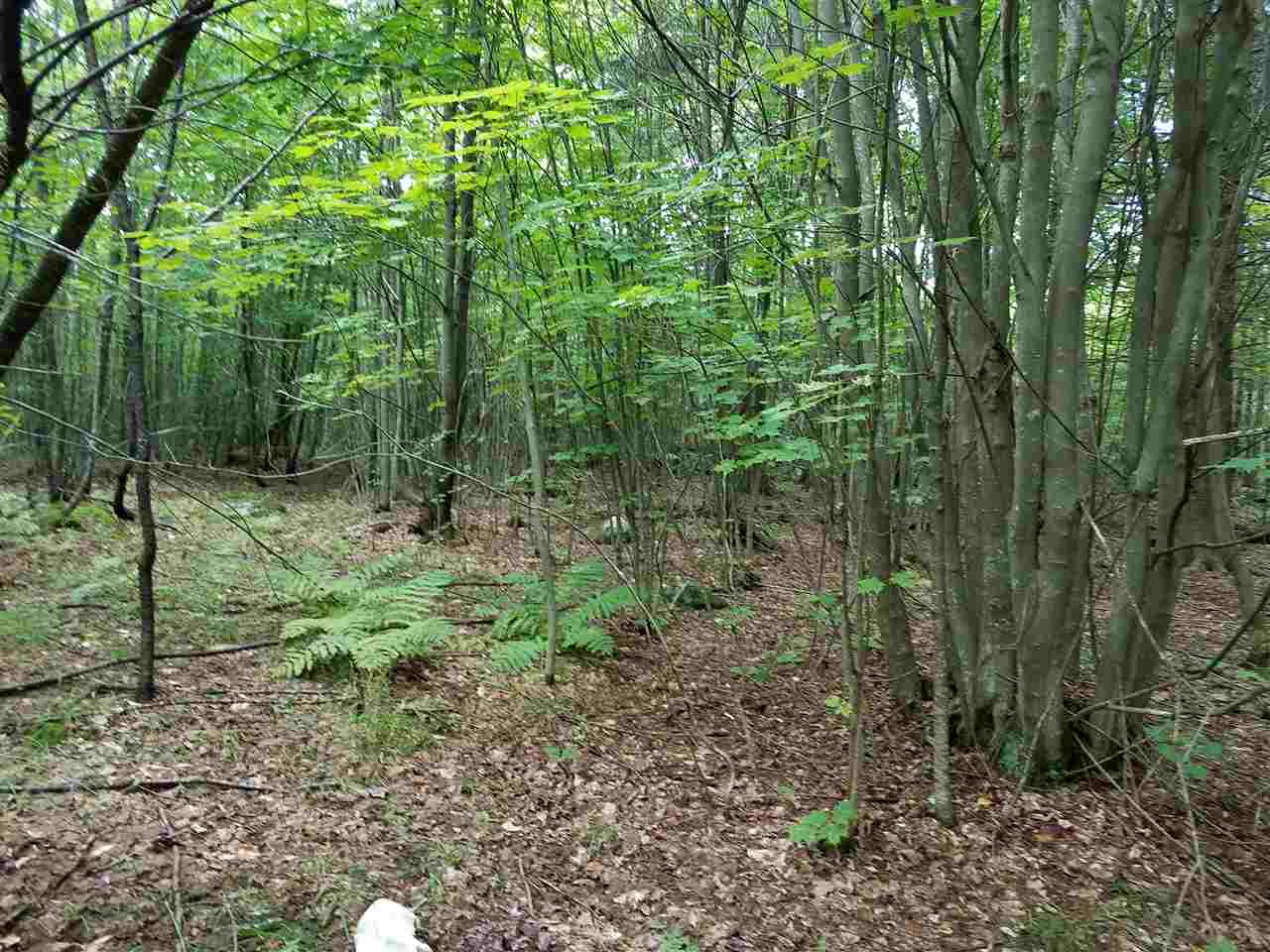 79 Mountain View Road Lempster, NH 03605 - Photo 7 of 17