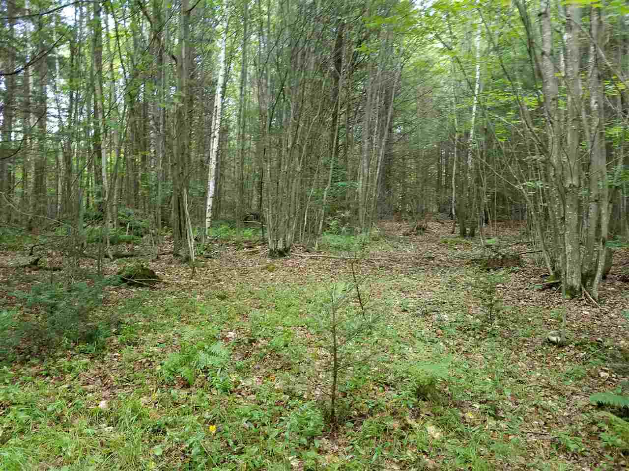 79 Mountain View Road Lempster, NH 03605 - Photo 8 of 17