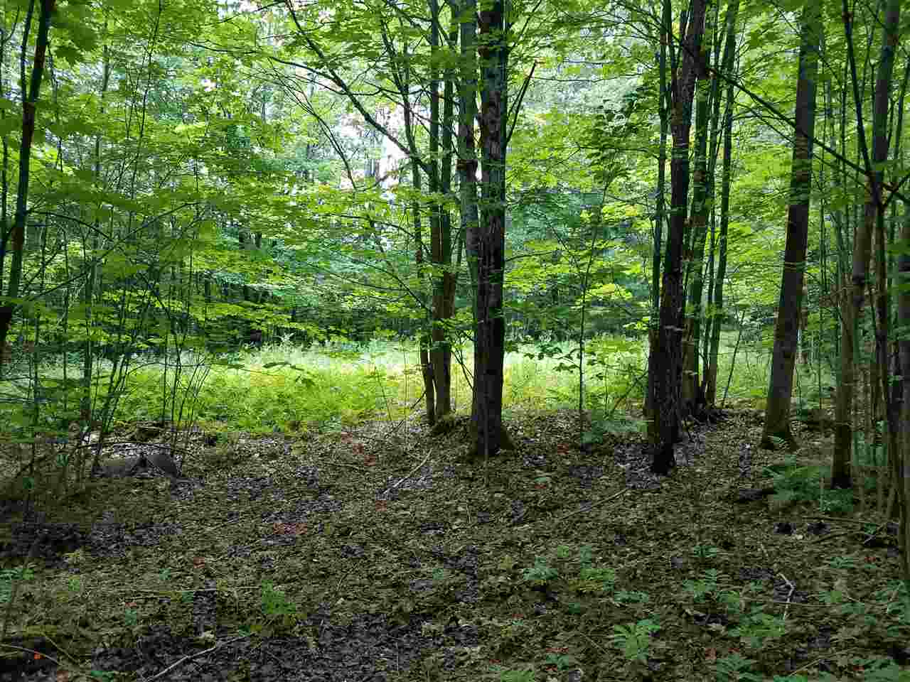 79 Mountain View Road Lempster, NH 03605 - Photo 9 of 17