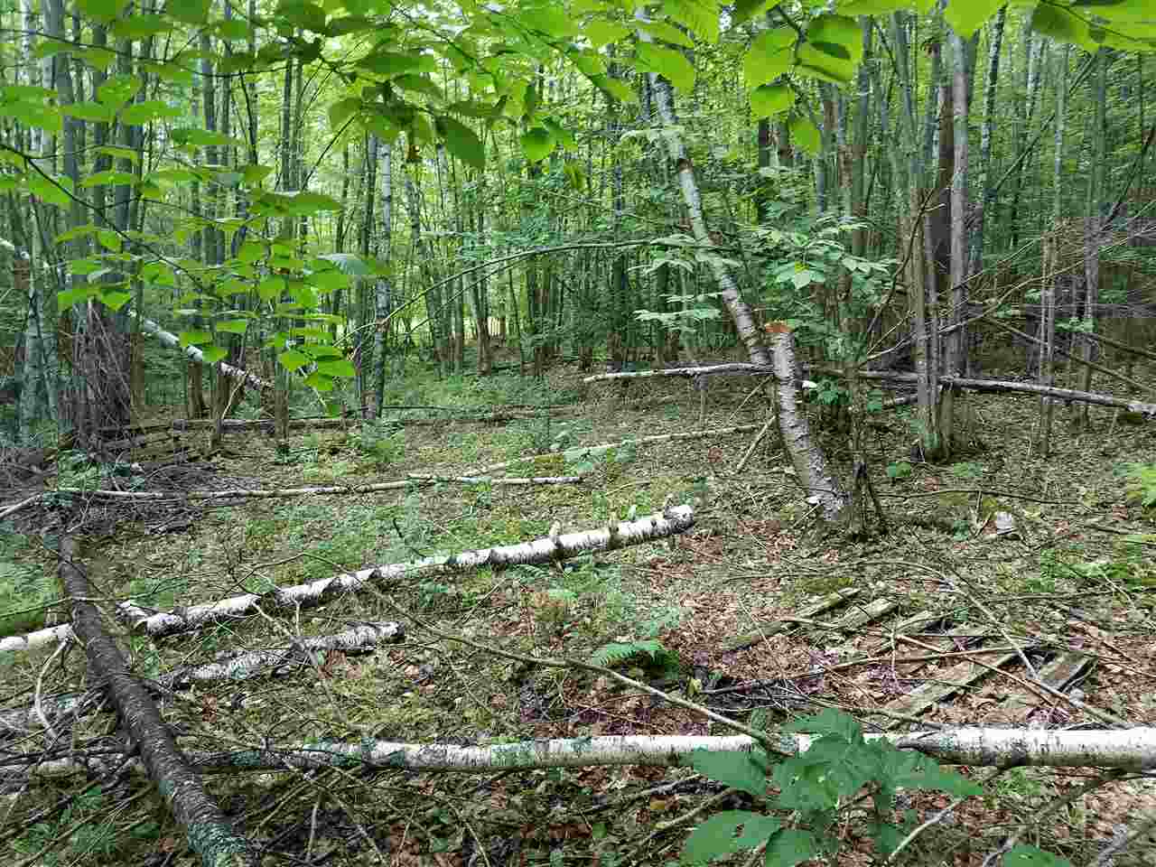79 Mountain View Road Lempster, NH 03605 - Photo 10 of 17