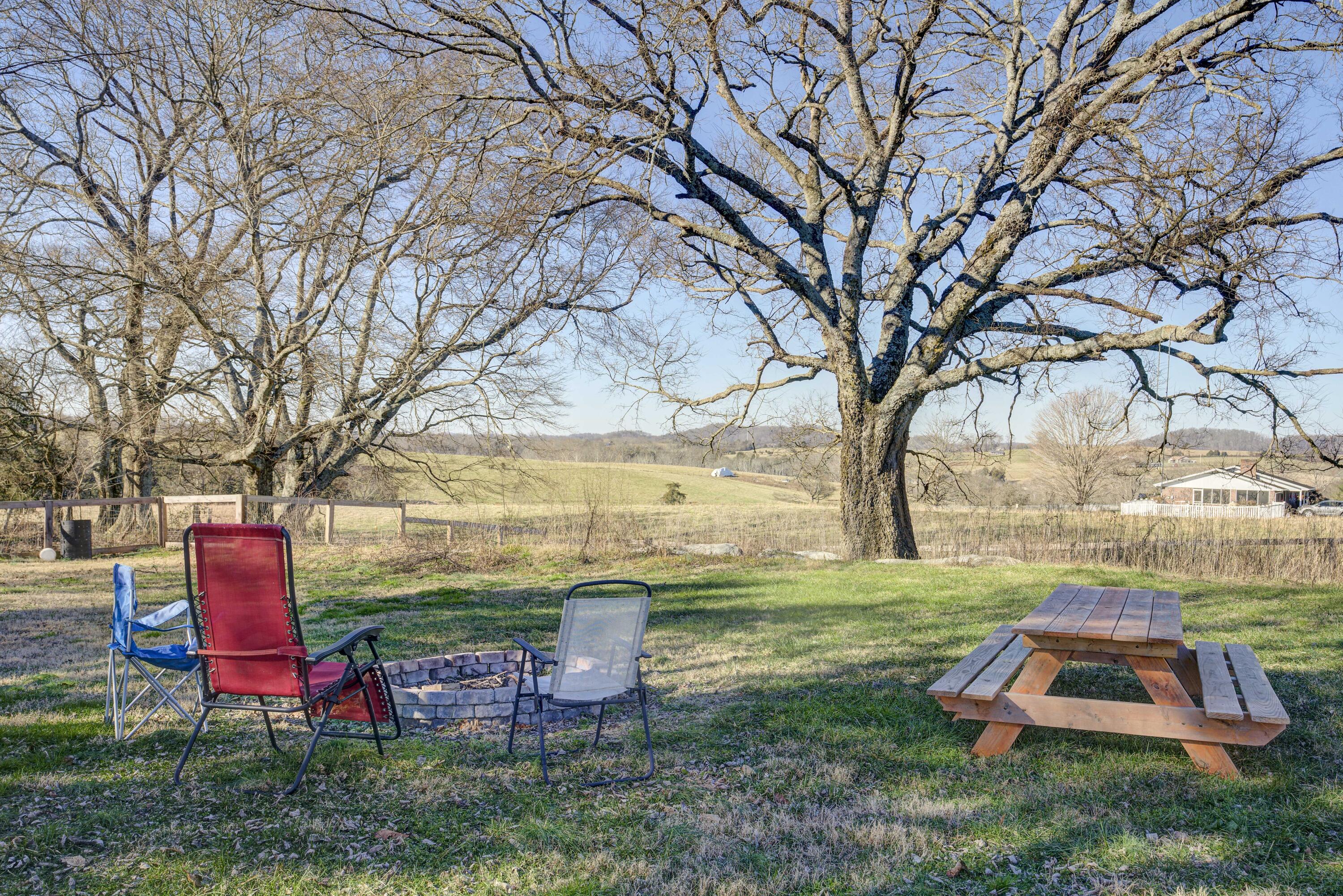 398 Muddy Fork Road Jonesborough, TN 37659 - Photo 22 of 26 Fire pit and view