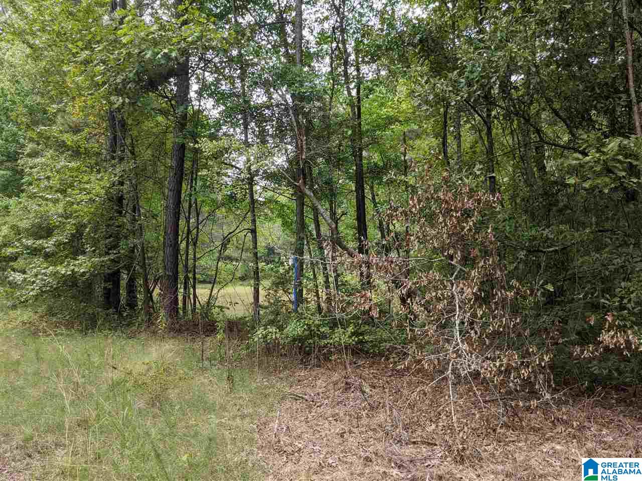 0 Smith Avenue, Unit 3 2 Anniston, AL 36207 - Photo 5 of 43