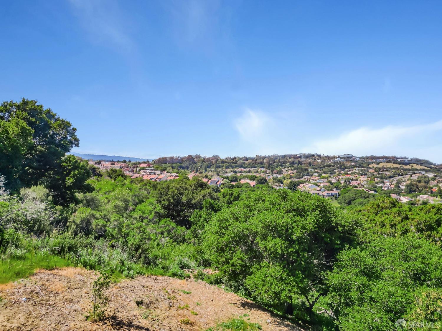 2009 Bishop Road Belmont, CA 94002 - Photo 52 of 63
