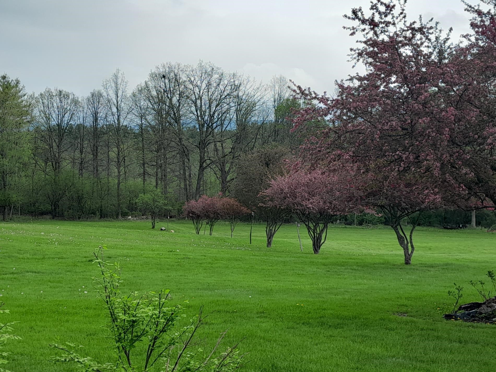 856 Matteson Road Bennington, VT 05201 - Photo 34 of 43