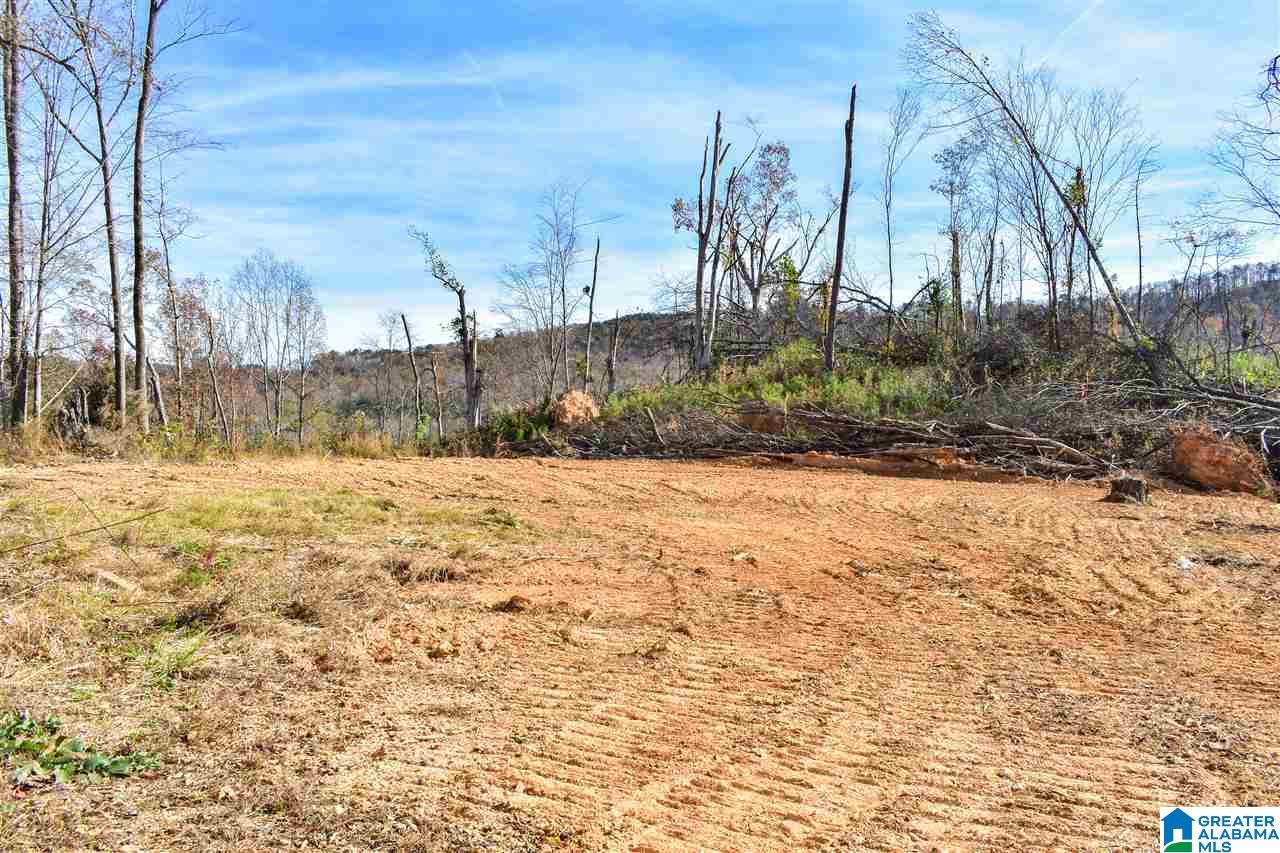 1603 Crudup Road Attalla, AL 35954 - Photo 21 of 37