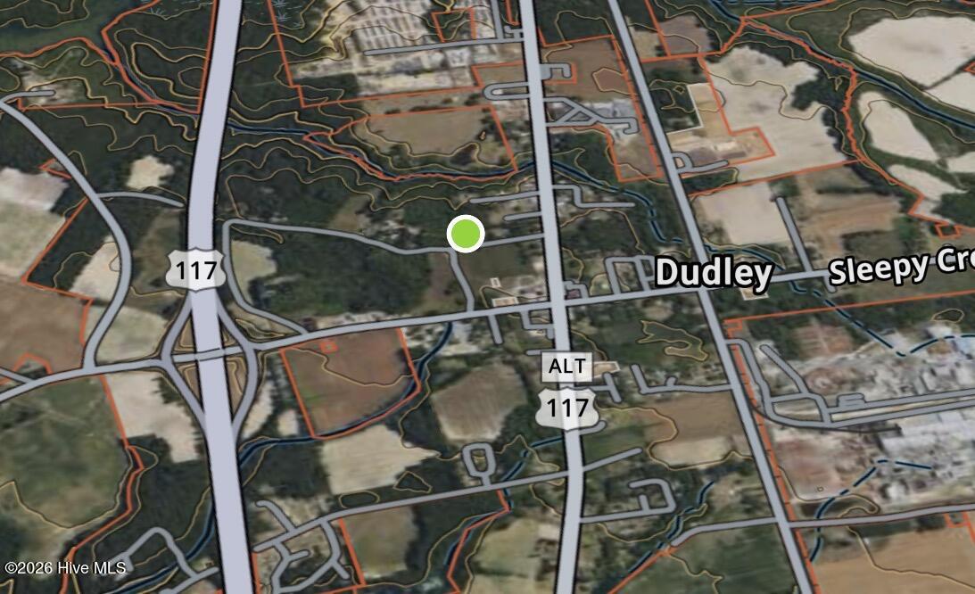 .89-ac 89-ac Oberry Road Dudley, NC 28333 - Photo 5 of 5