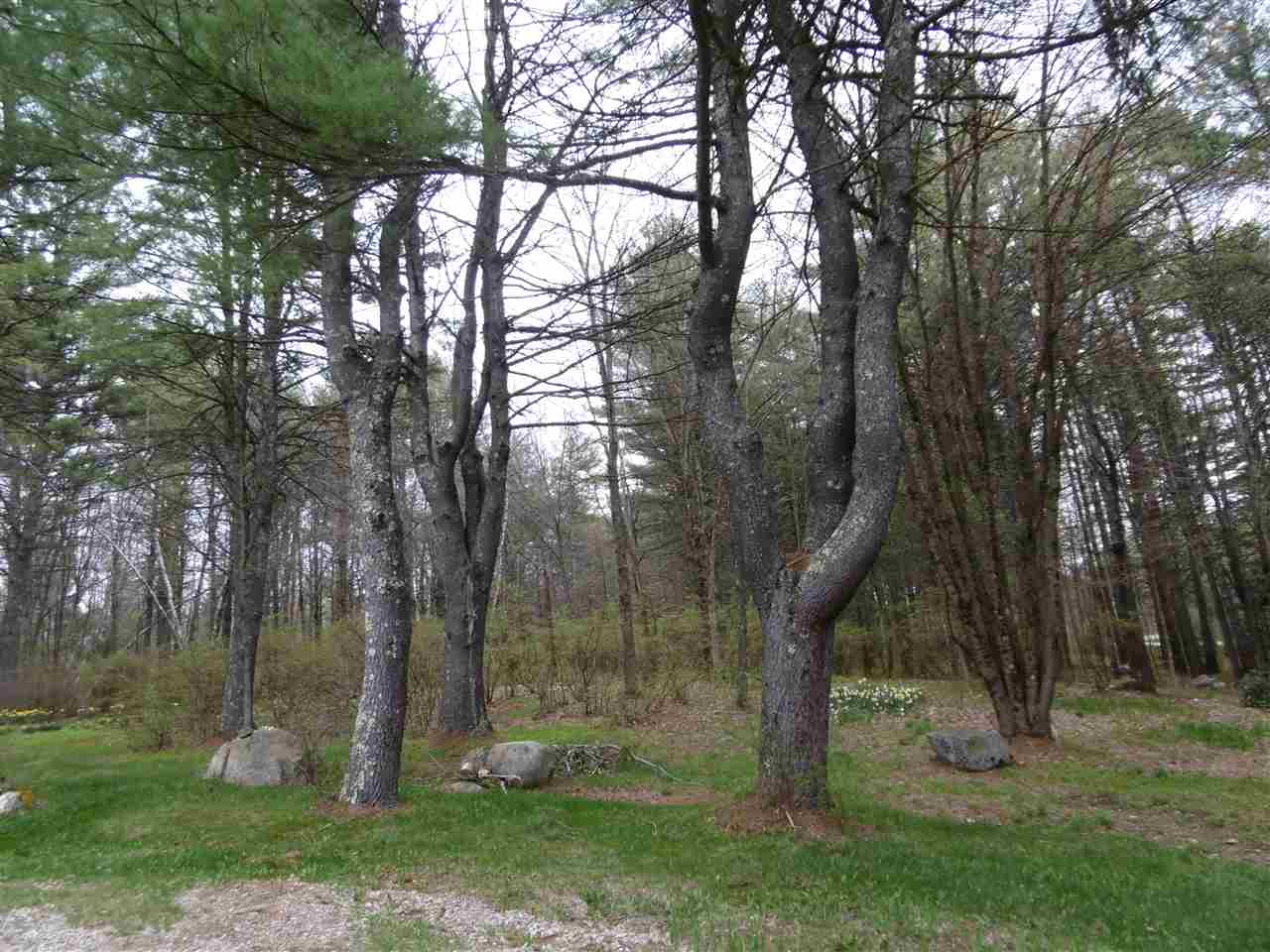 96 Palmer Road Candia, NH 03034 - Photo 14 of 17