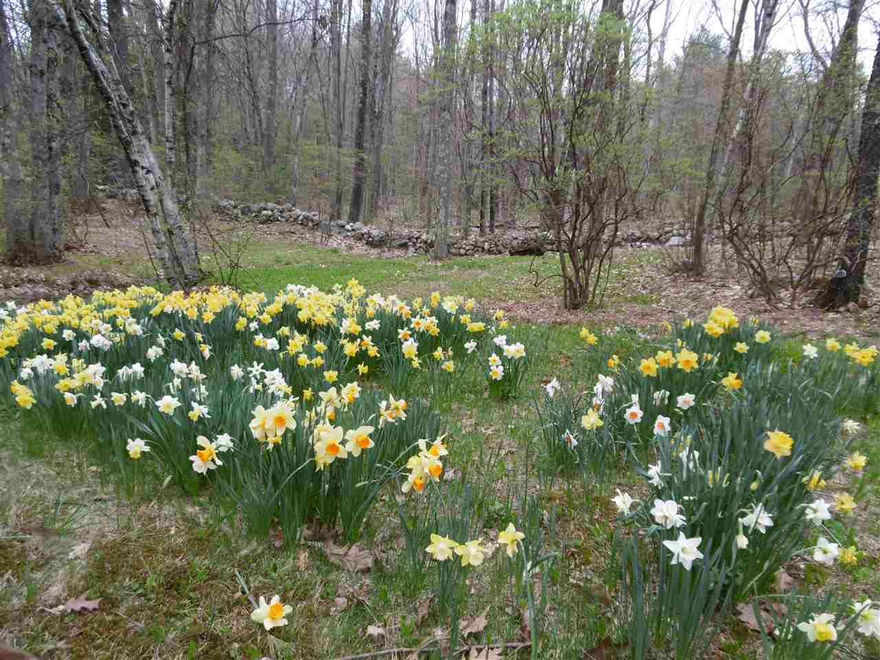 96 Palmer Road Candia, NH 03034 - Photo 15 of 17