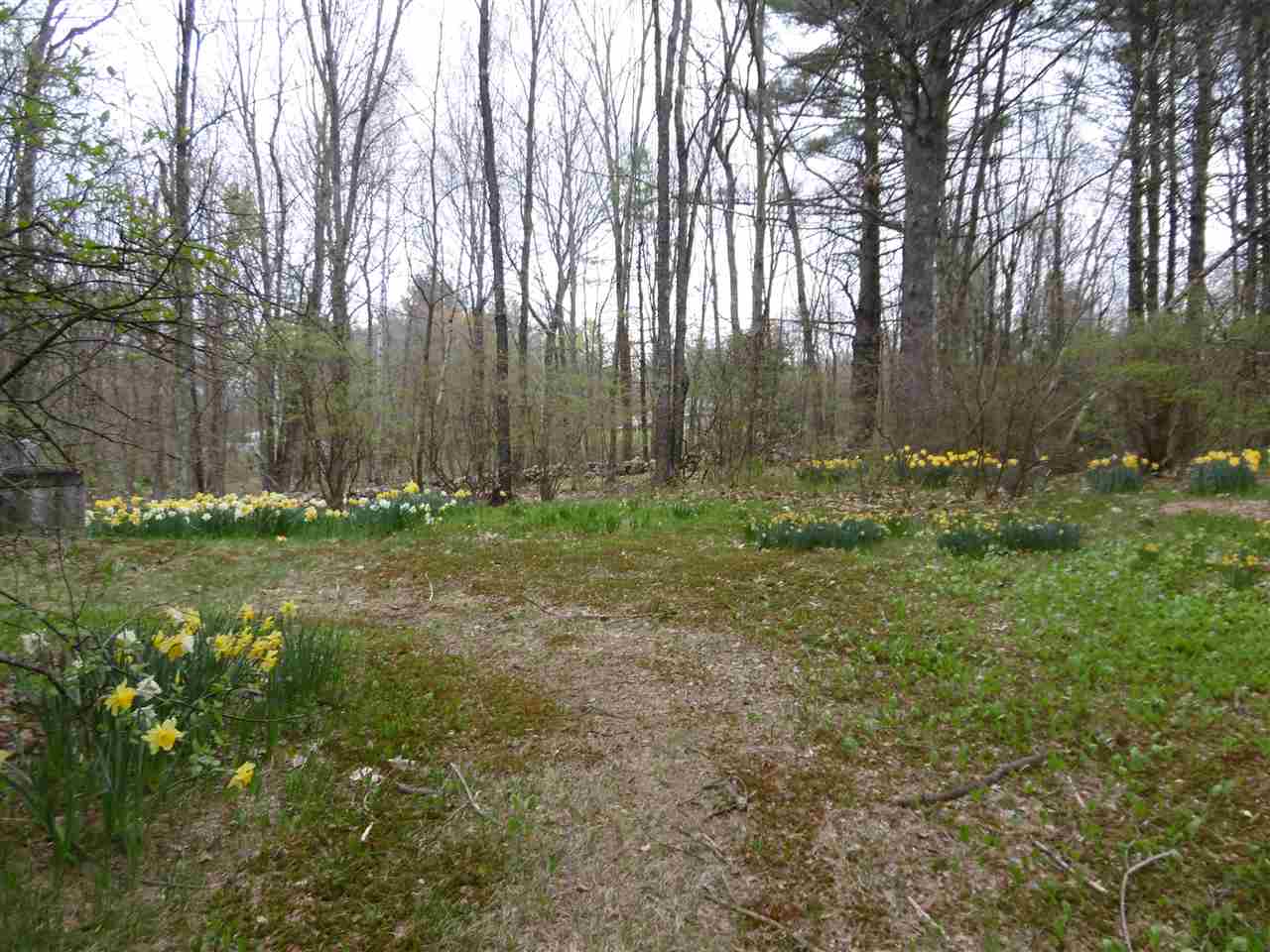 96 Palmer Road Candia, NH 03034 - Photo 16 of 17