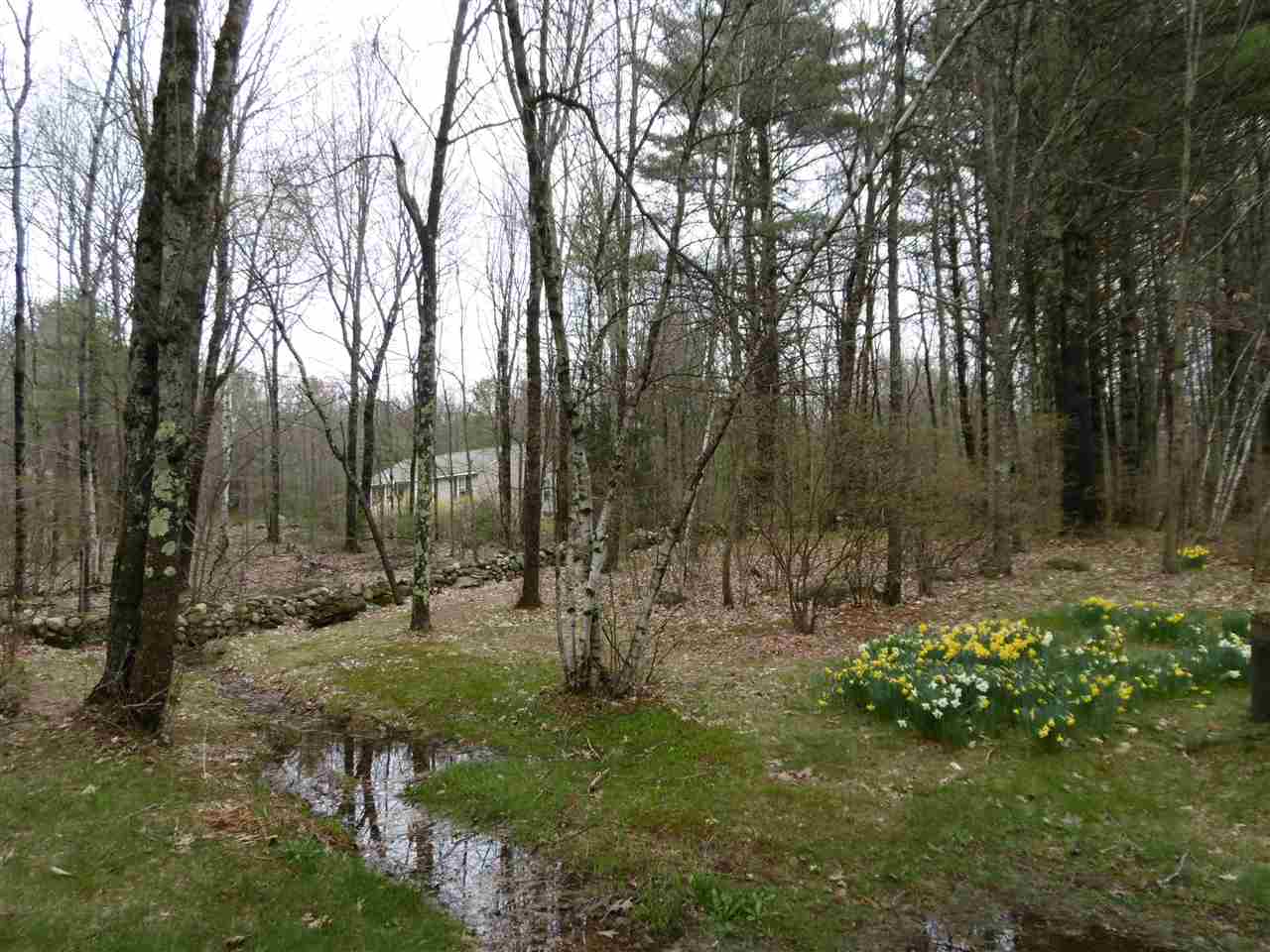 96 Palmer Road Candia, NH 03034 - Photo 17 of 17