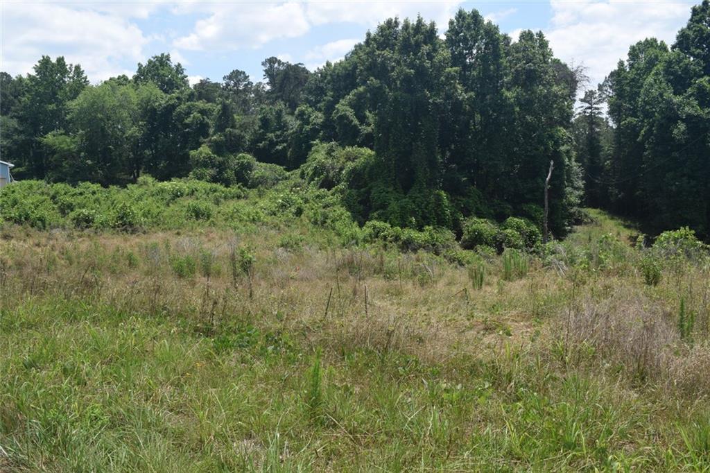 792 Lower Dowda Mill Road Jasper, GA 30143 - Photo 9 of 35