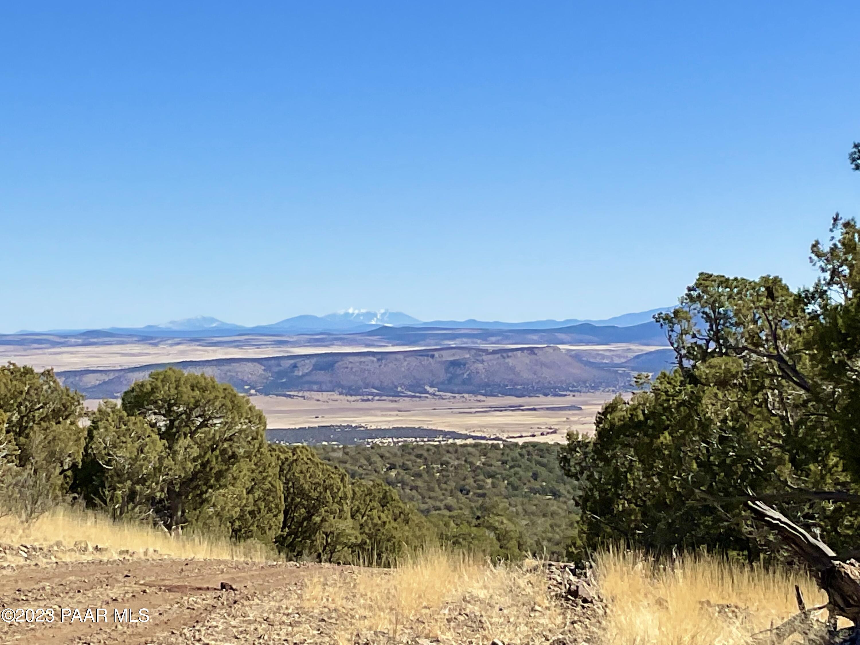 496 Sierra Verde Ranch Seligman, AZ 86337 - Photo 1 of 16 IMG_0560
