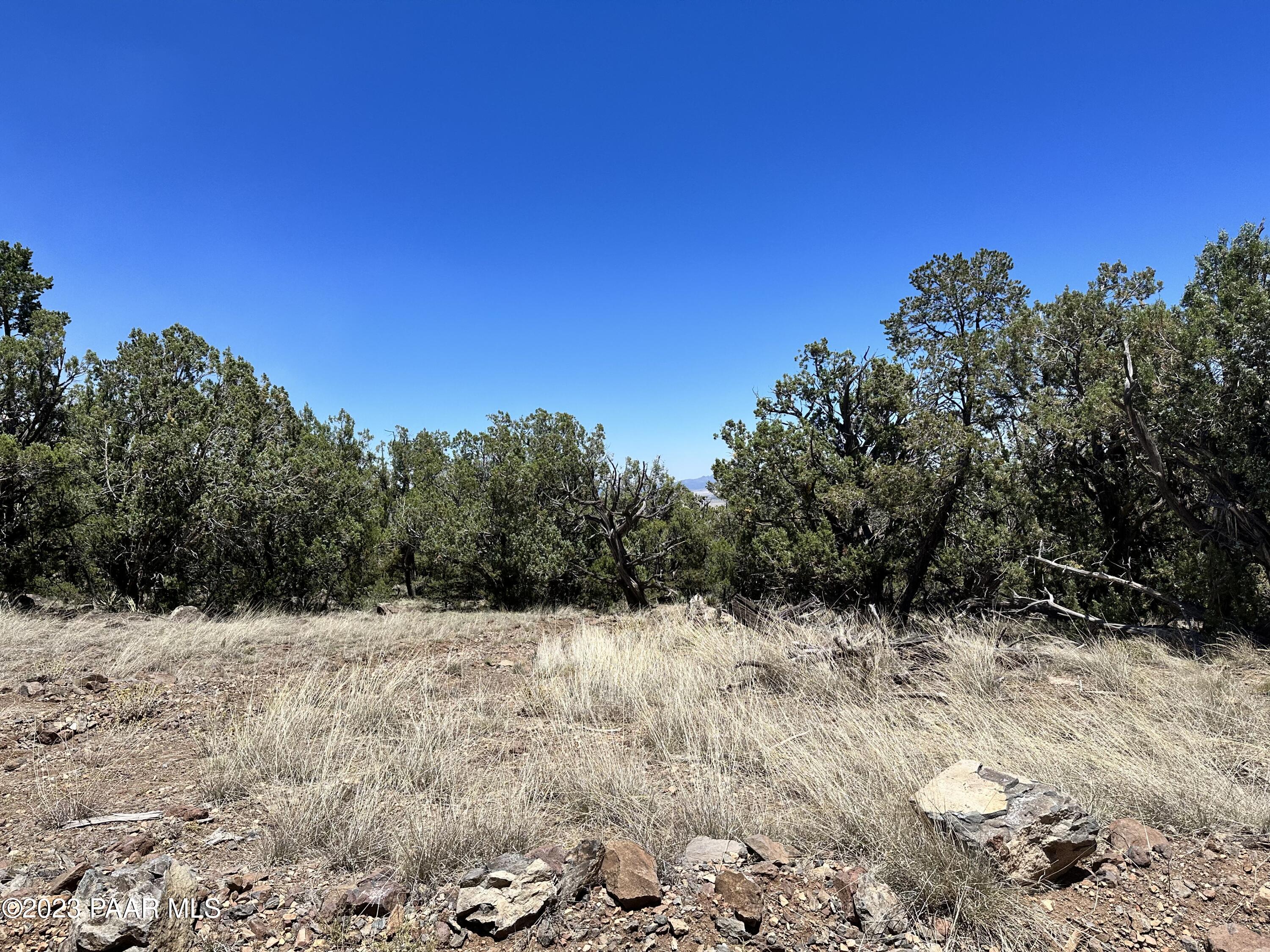 496 Sierra Verde Ranch Seligman, AZ 86337 - Photo 11 of 16 IMG_0053