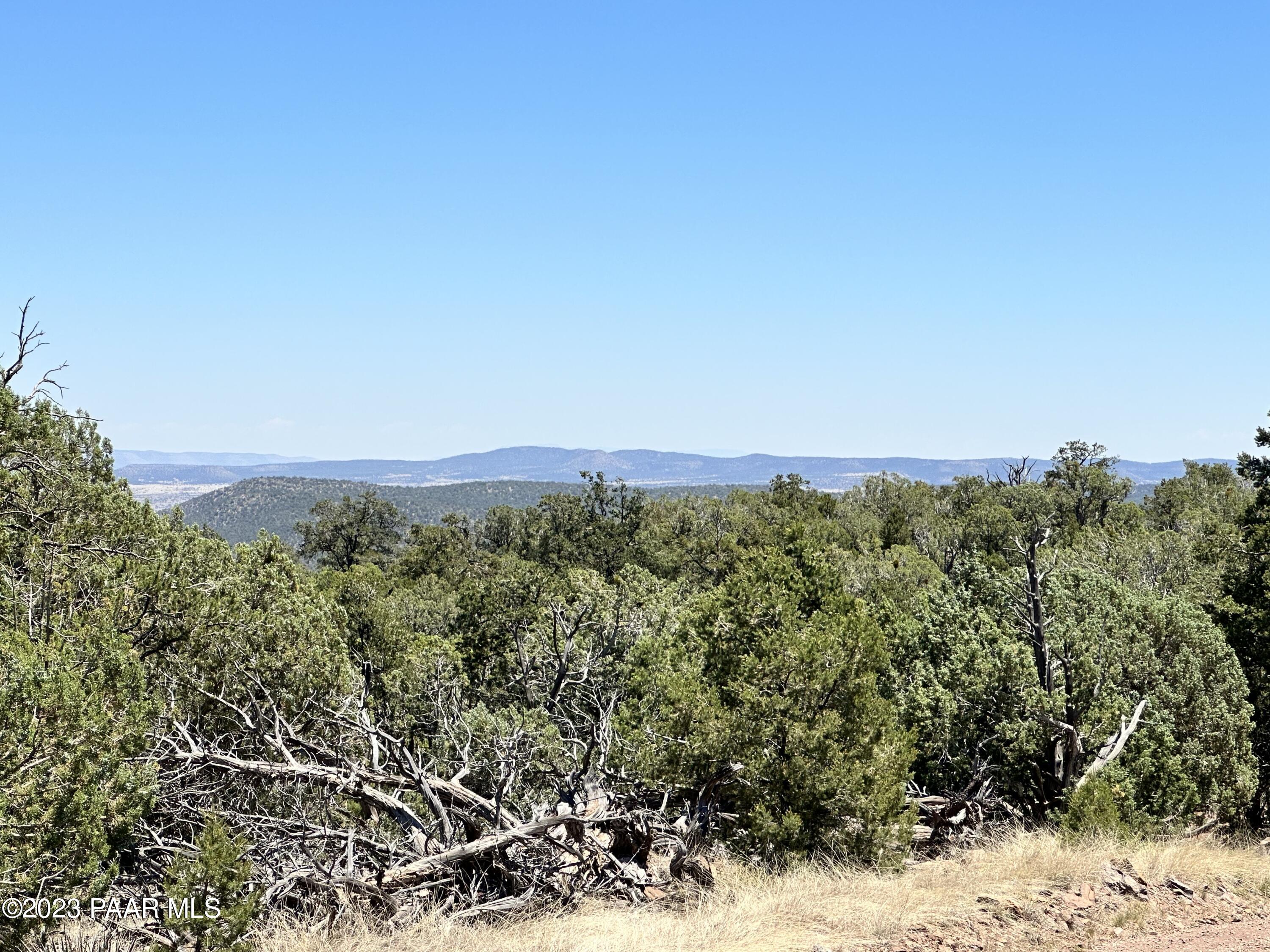 496 Sierra Verde Ranch Seligman, AZ 86337 - Photo 12 of 16 IMG_0055