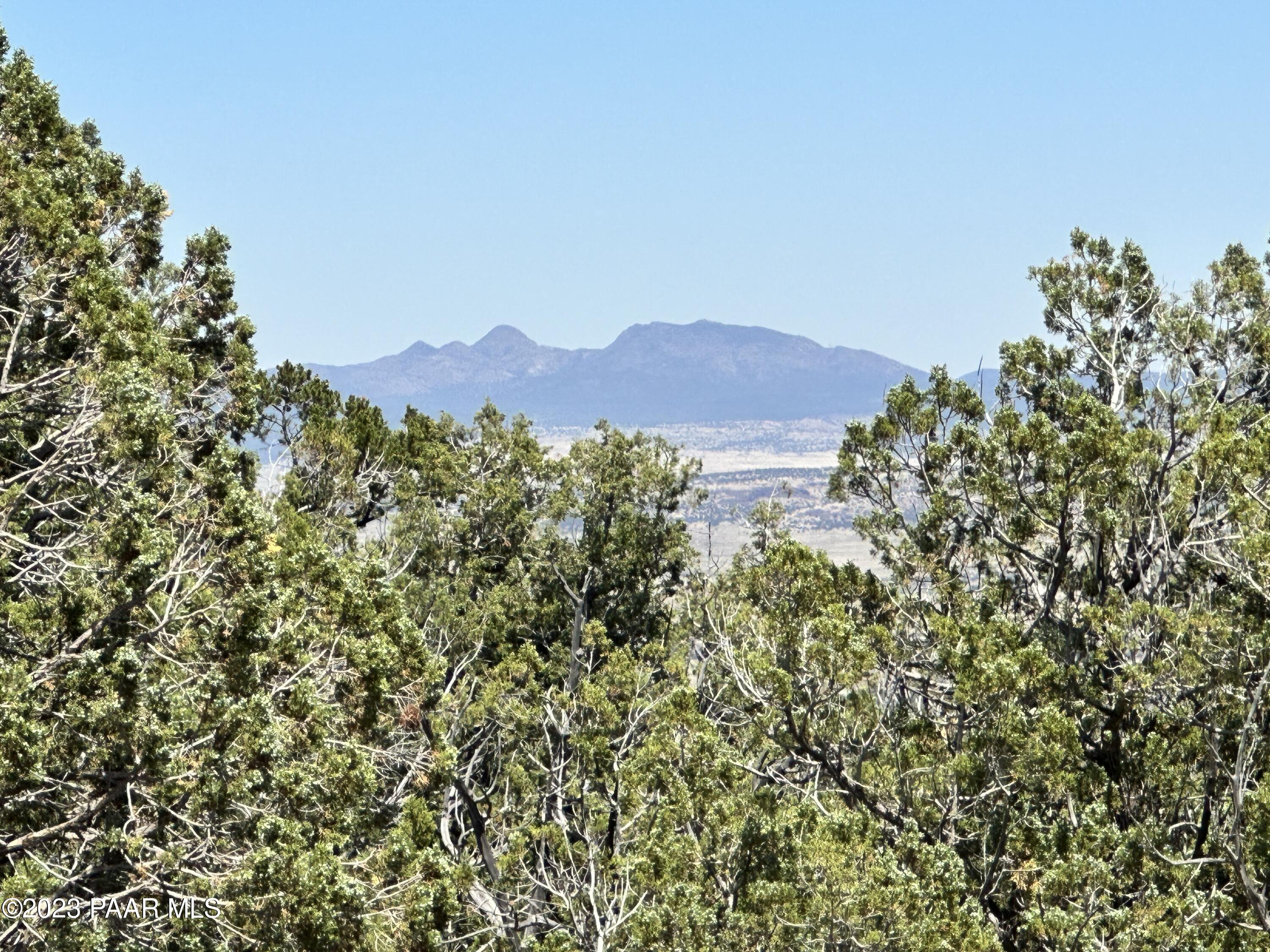 496 Sierra Verde Ranch Seligman, AZ 86337 - Photo 13 of 16 IMG_0056