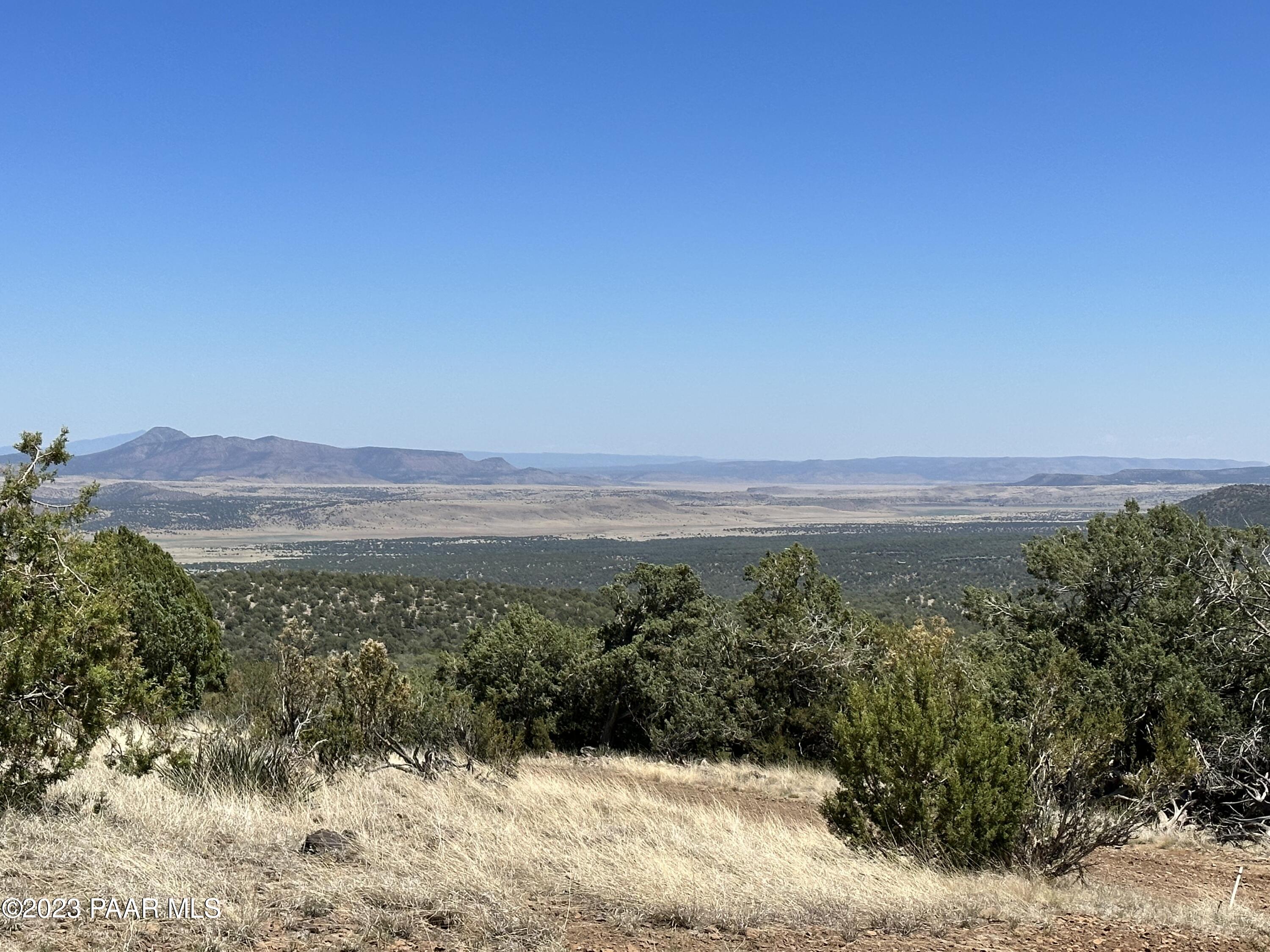 496 Sierra Verde Ranch Seligman, AZ 86337 - Photo 14 of 16 IMG_0057