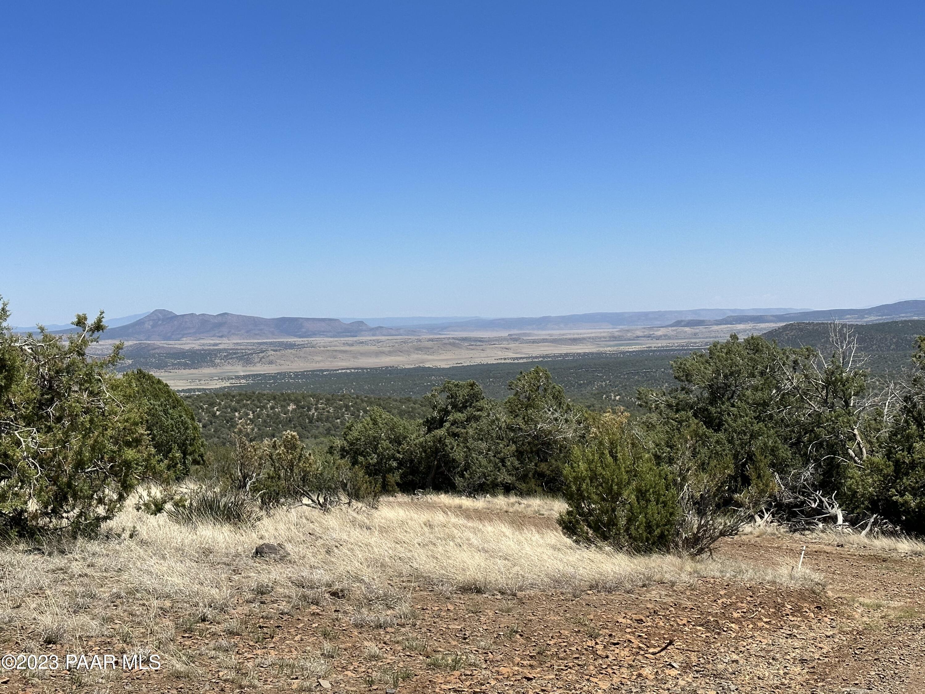 496 Sierra Verde Ranch Seligman, AZ 86337 - Photo 15 of 16 IMG_0060