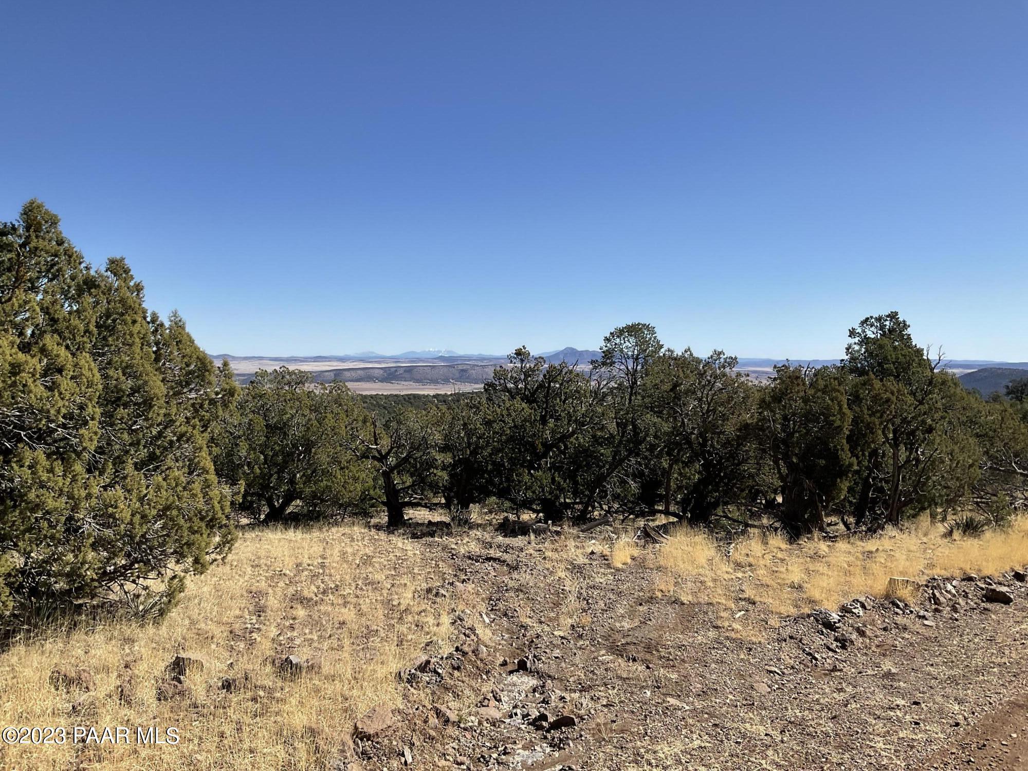 496 Sierra Verde Ranch Seligman, AZ 86337 - Photo 2 of 16 IMG_0550