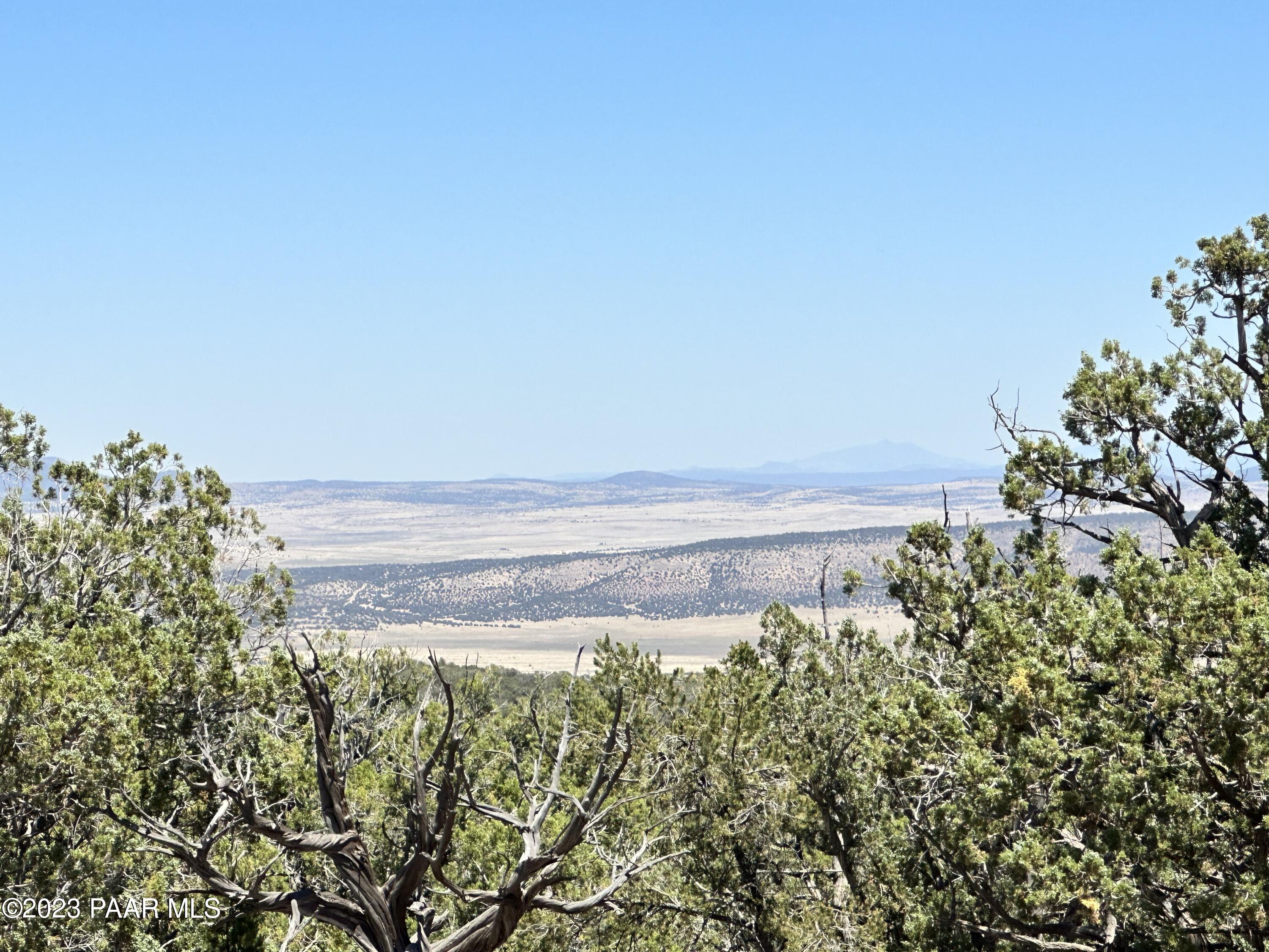 496 Sierra Verde Ranch Seligman, AZ 86337 - Photo 3 of 16 IMG_0054