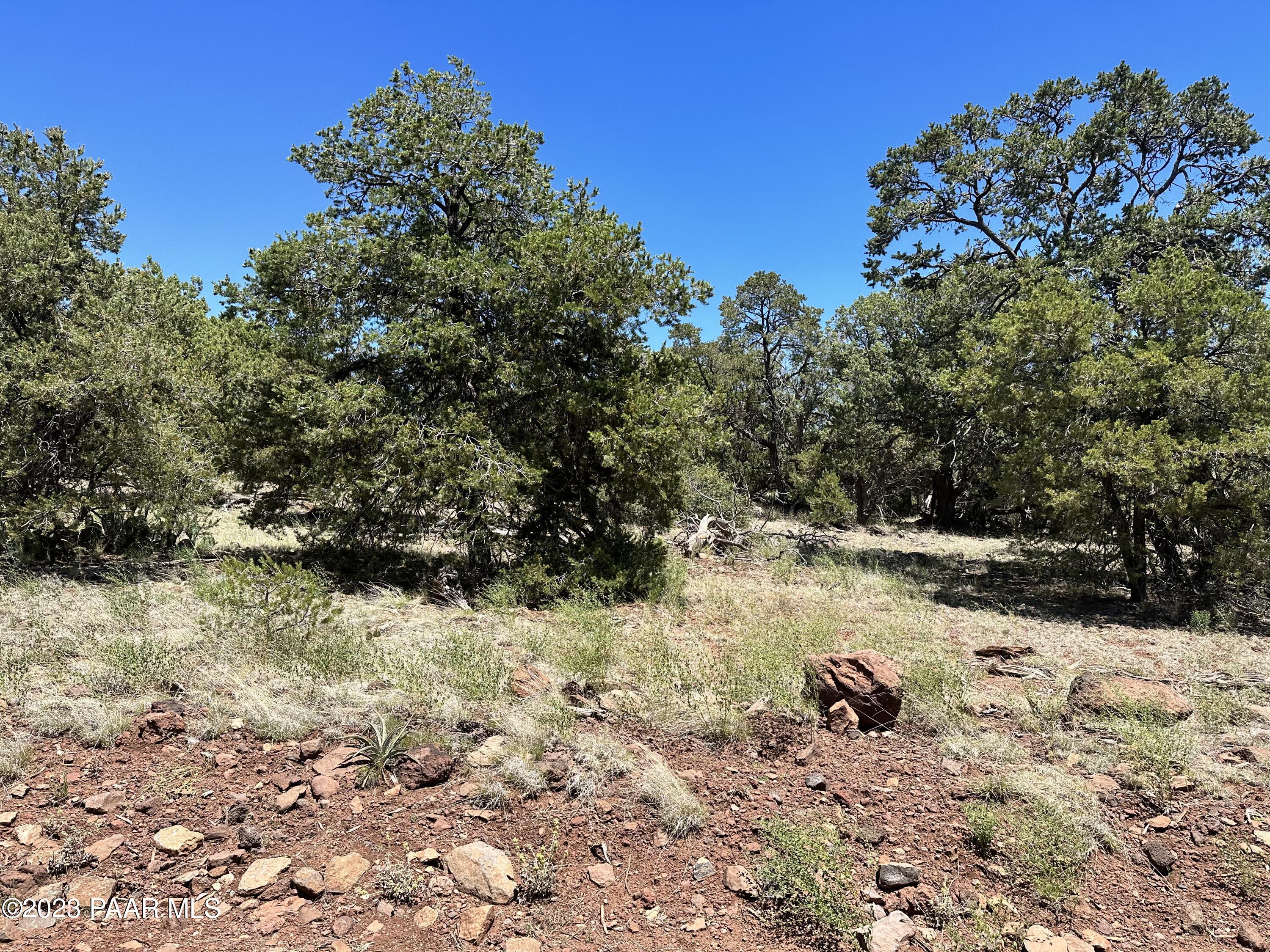 496 Sierra Verde Ranch Seligman, AZ 86337 - Photo 5 of 16 IMG_0043
