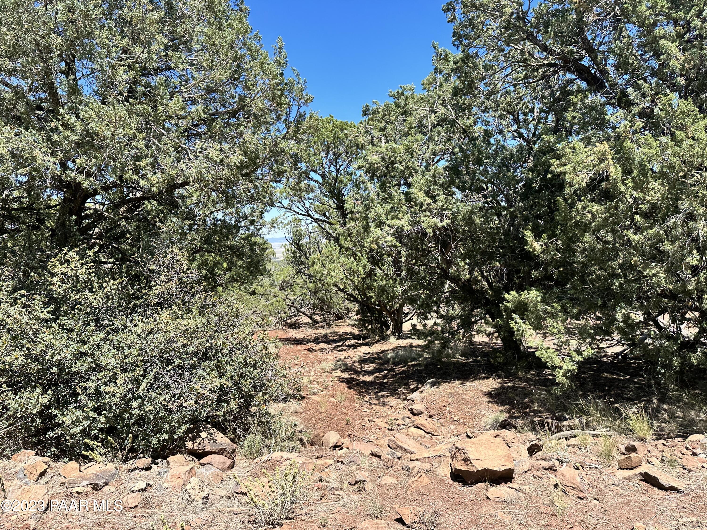 496 Sierra Verde Ranch Seligman, AZ 86337 - Photo 10 of 16 IMG_0052