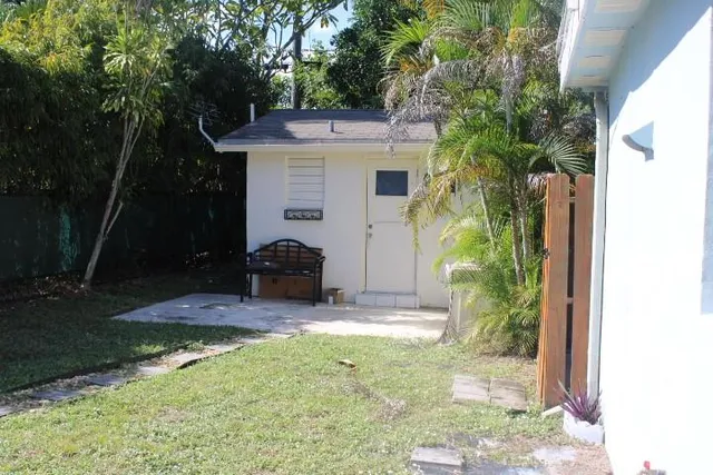 a view of backyard with plants and large trees