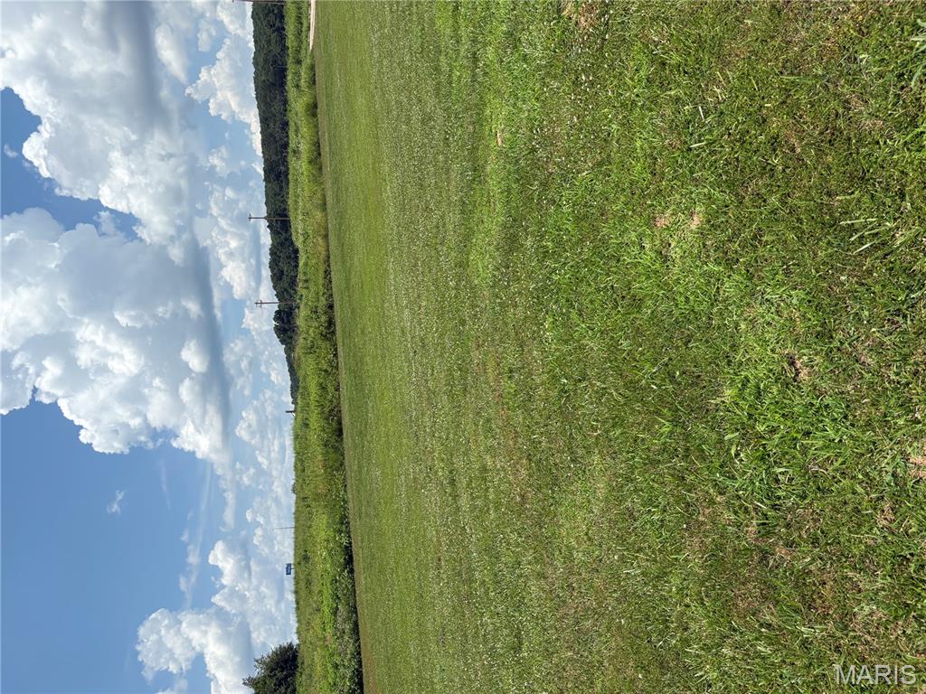 1261 West Main Street Fredericktown, MO 63645 - Photo 3 of 3