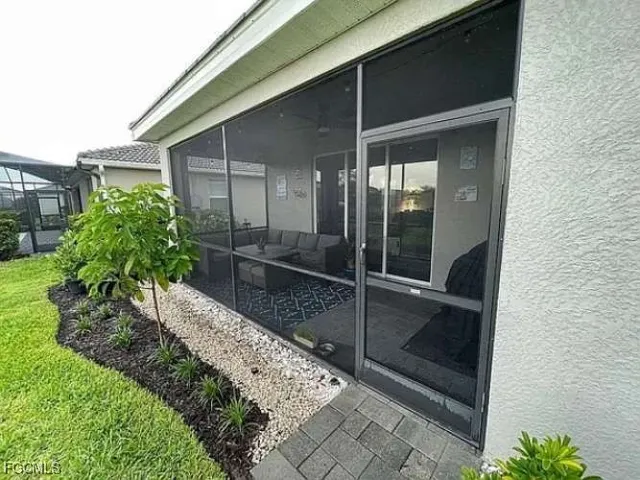 a view of backyard with potted plants