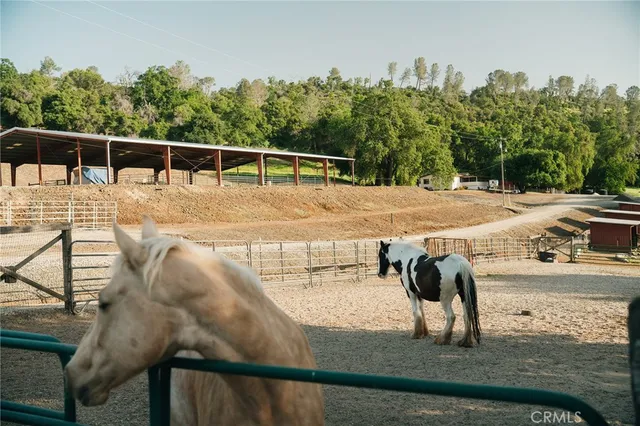 an aerial view of a house with yard and greenery