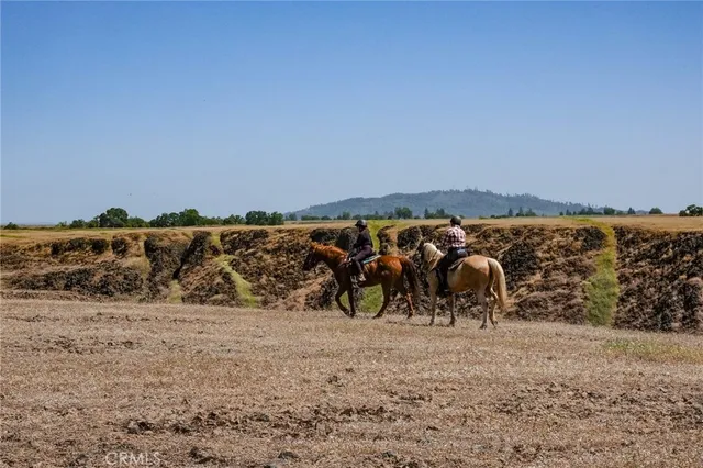 a view of backyard with swimming pool and seating