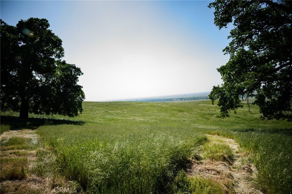1477 Flag Creek Road Oroville, CA 95965 - Photo 62 of 75 a view of an outdoor space and a yard