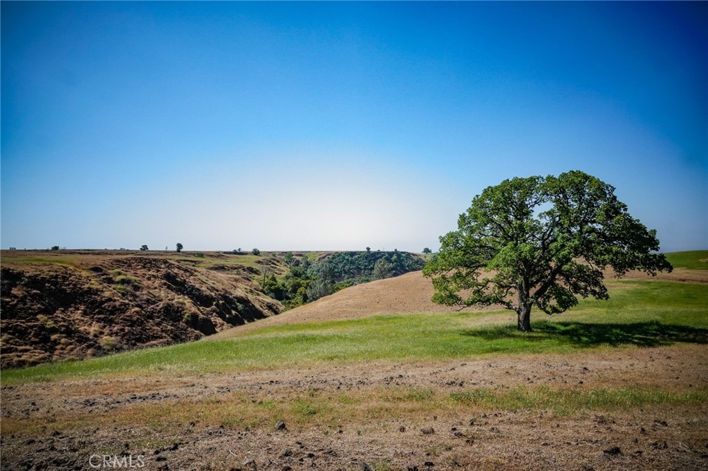1477 Flag Creek Road Oroville, CA 95965 - Photo 64 of 75 a view of a field with an trees