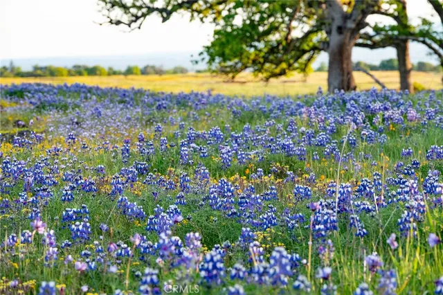 $988,000 | 1477 Flag Creek Road, Oroville, CA 95965