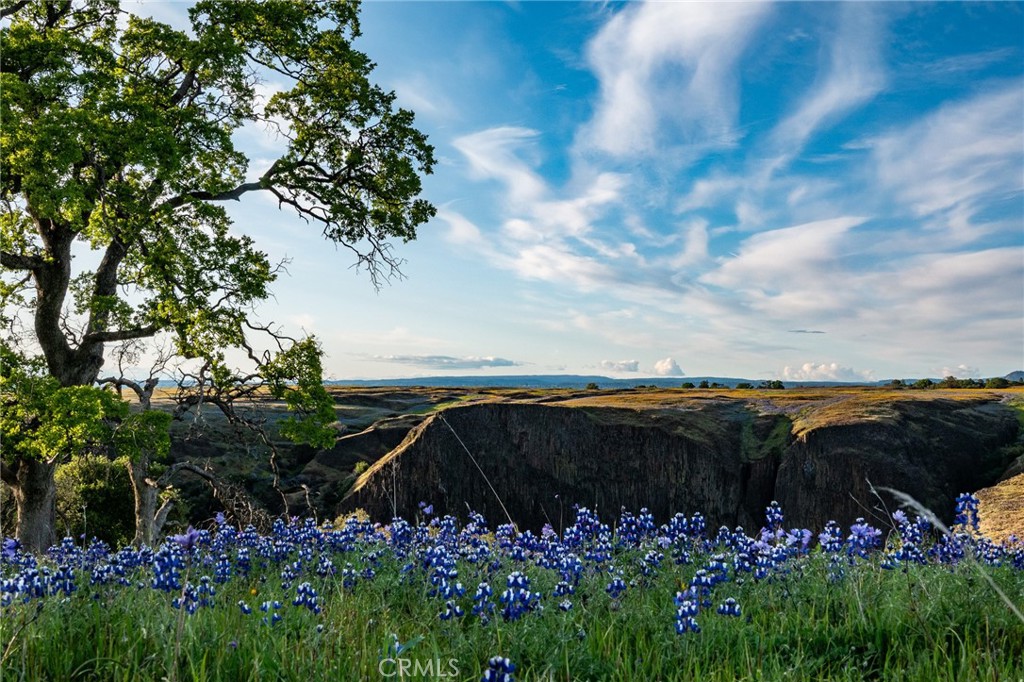 1477 Flag Creek Road Oroville, CA 95965 - Photo 71 of 75 a view of lot of flowers and trees