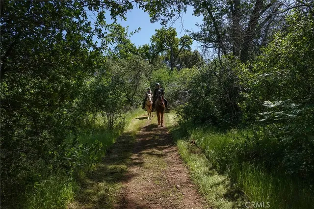 $988,000 | 1477 Flag Creek Road, Oroville, CA 95965