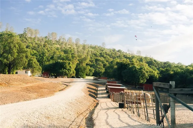 a view of a city with ocean view