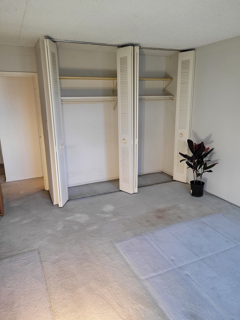 9701 Dee Road, Unit 4F Niles, IL 60714 - Photo 9 of 20 an empty room with closet and entertaining space