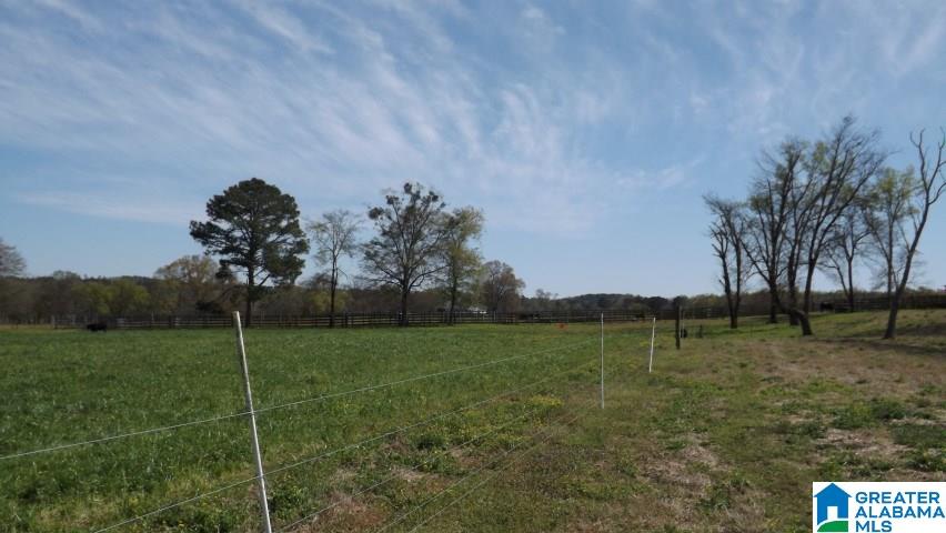 0 Gallant Road, Unit 40 Steele, AL 35987 - Photo 15 of 34 Gallery Image 15