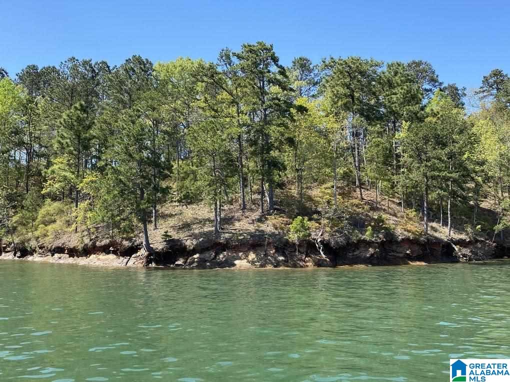 Lot 91 Ridge Crest Creek, Unit LOT 91 Alexander City, AL 35010 - Photo 4 of 4