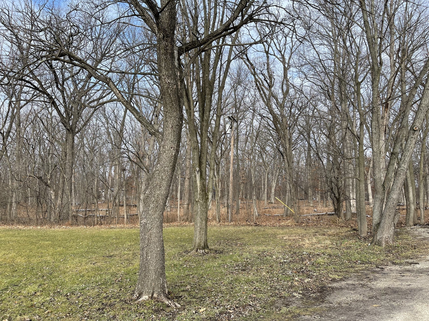 2950 Riverwoods Road Riverwoods, IL 60015 - Photo 25 of 25 a view of outdoor space with trees