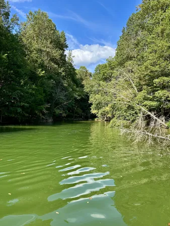 $499,000 | 190 J D Lane, Lynchburg, TN 37352