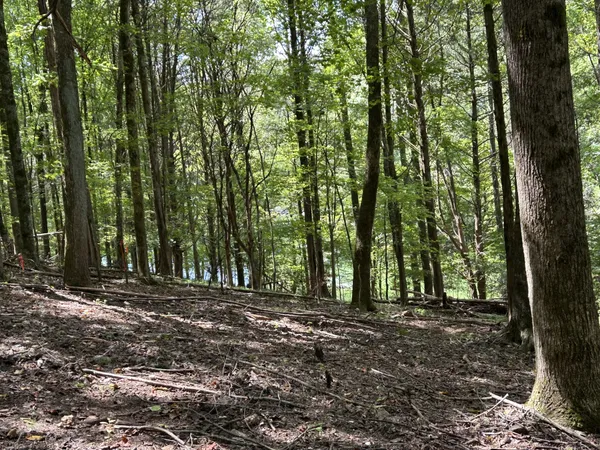 $499,000 | 190 J D Lane, Lynchburg, TN 37352