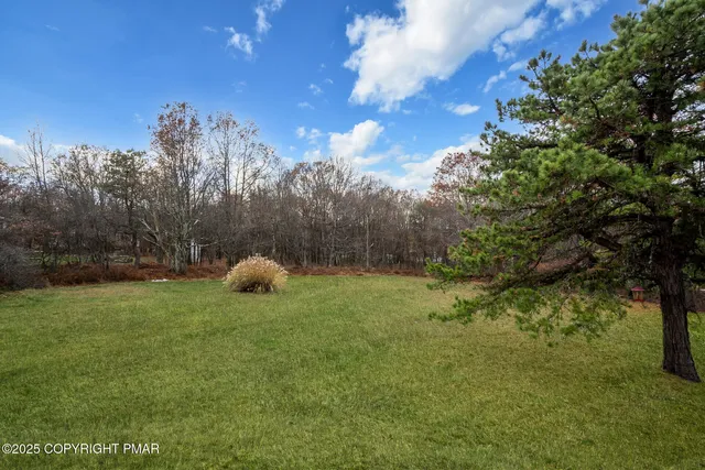 a view of a yard in front of the house