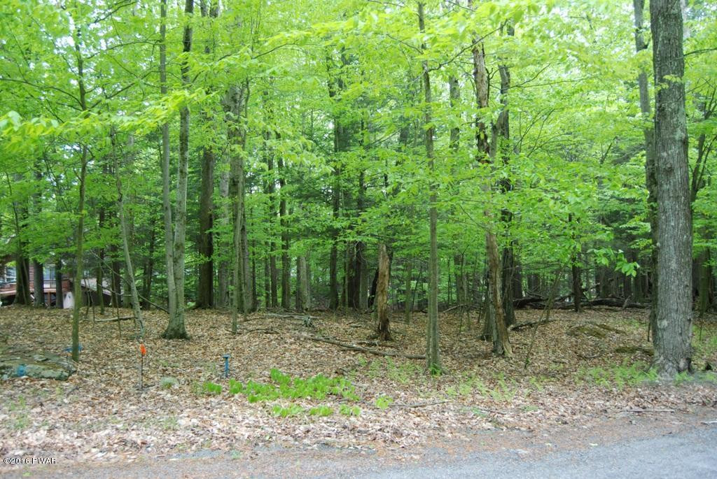 927 Hibernation Road Lake Ariel, PA 18436 - Photo 3 of 14