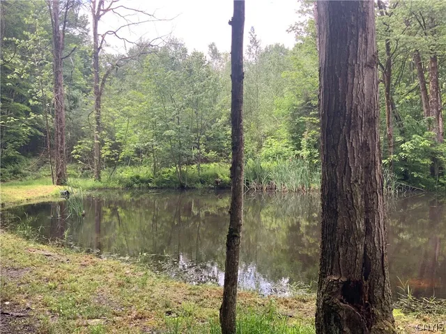 $69,900 | 0 North Hillsboro Road, Camden, NY 13316