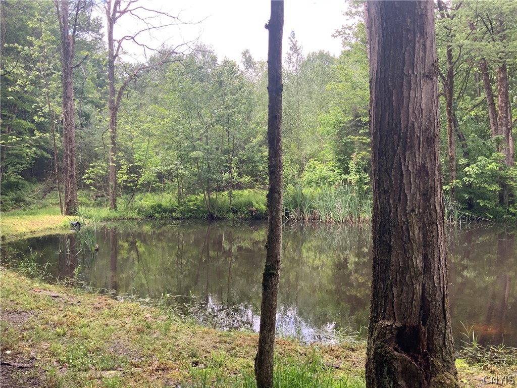 0 North Hillsboro Road Camden, NY 13316 - Photo 1 of 31