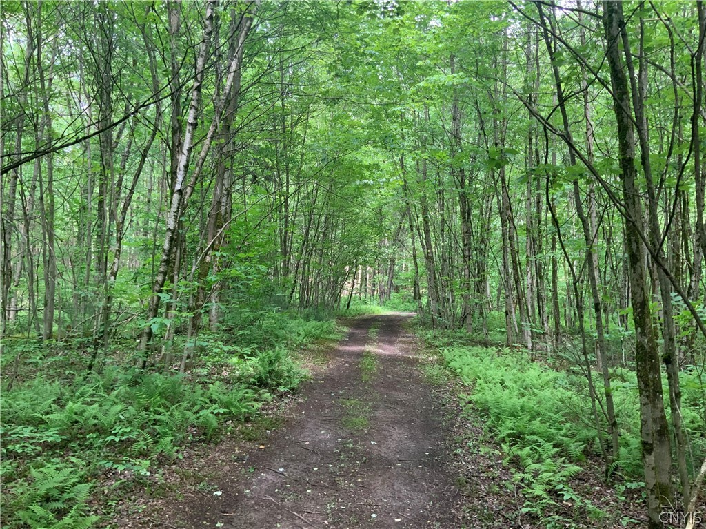 0 North Hillsboro Road Camden, NY 13316 - Photo 11 of 31